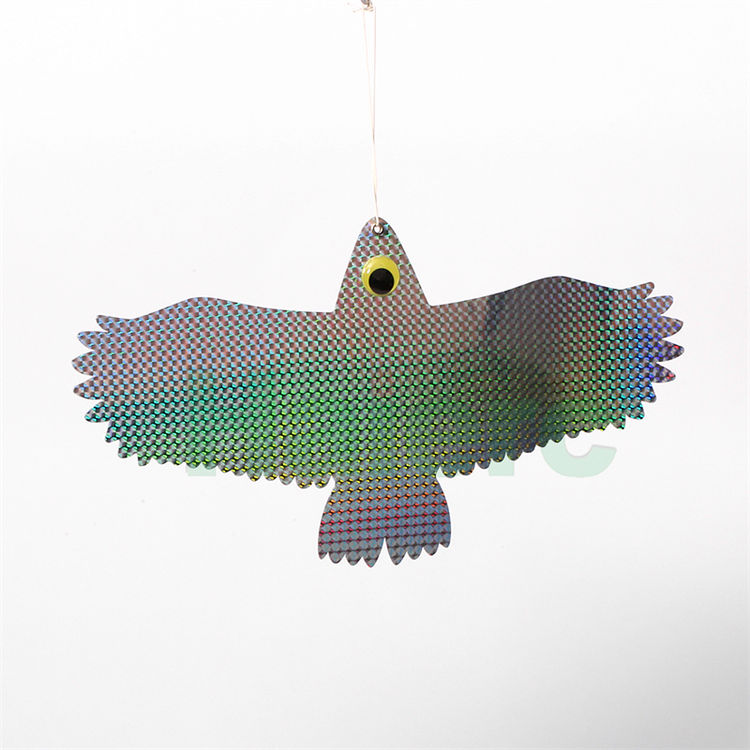 Haierc Chim chống lại chim khiến chim bồ câu kiểm soát loài gây hại Flash Eagle HC1625