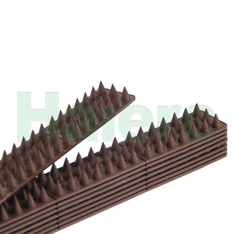 Haierc Sản phẩm kiểm soát sâu bệnh Bird Cat Intruder ngăn chặn hàng rào tường chống côn trùng Spikes HC1117-W2