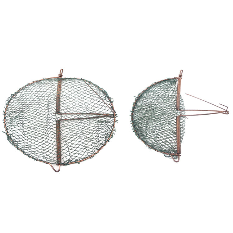 Haierc Nhân đạo đã bắt sống chim bẫy để bắt chim bồ câu HC1608