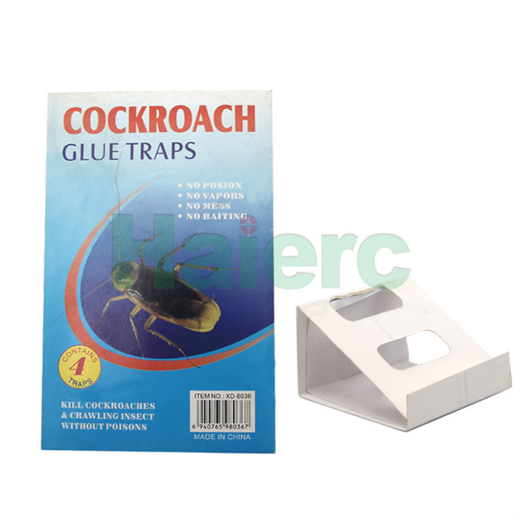 Haierc Bẫy keo Roach/gián trong nhà, bán nóng HC4112