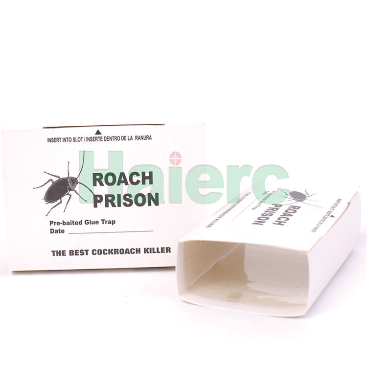 Haierc Các sản phẩm kiểm soát sâu hại gián thân thiện với môi trường Bẫy keo gián HC4110