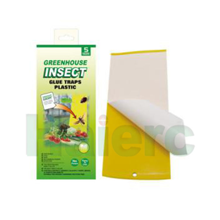 Haierc Ruồi giấm màu vàng dán bẫy cho bẫy côn trùng HC4207