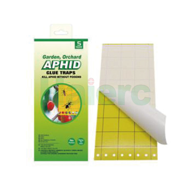 Haierc Bẫy Dính Côn Trùng Siêu Dính - Bảng Keo Diệt Côn Trùng HC4209