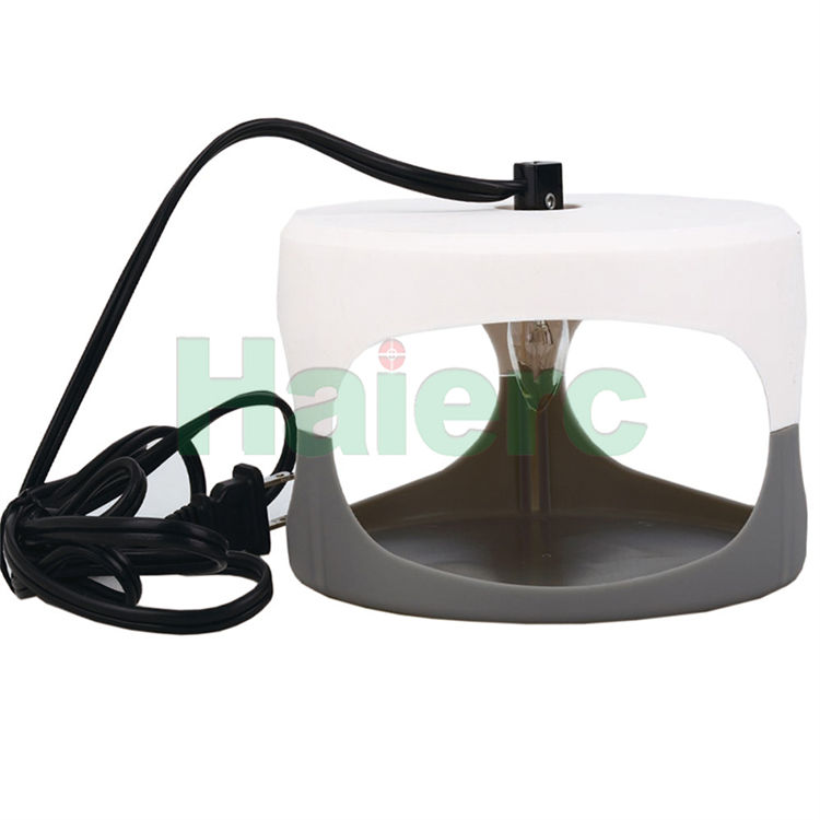 Haierc Côn trùng kiểm soát bọ chét/giường keo dán đèn HC4607