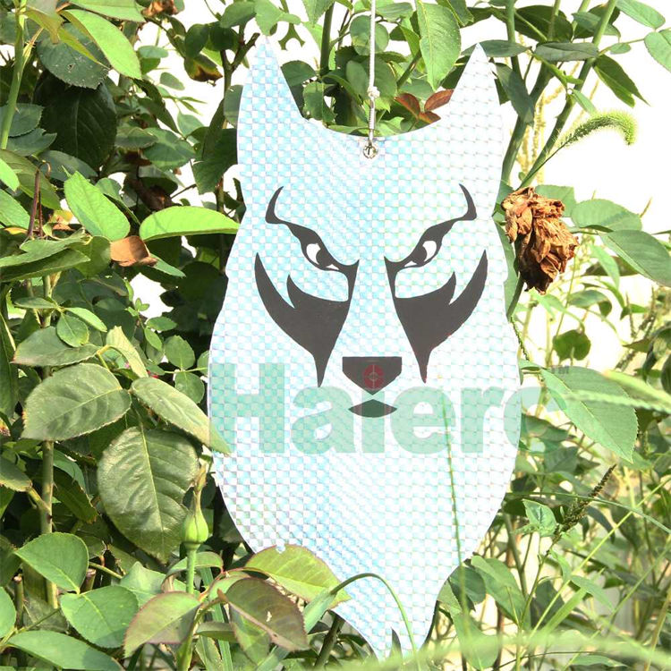 Haierc Phương pháp kiểm soát dịch hại chim làm cháy chim cú HC1621