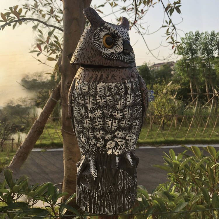 Haierc Cú Scarecrow kiểm soát dịch hại HC1614