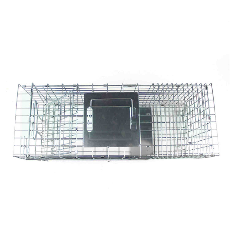 Haierc Cat Cage Animal Trap Wild Cat Catcher HC2615M
