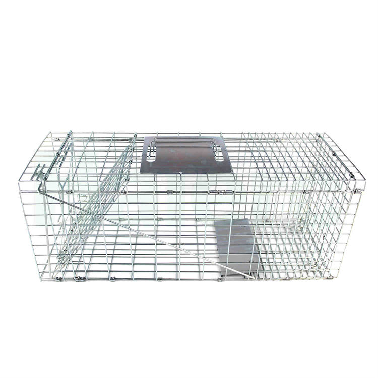 Haierc Khoang động vật HC2615L