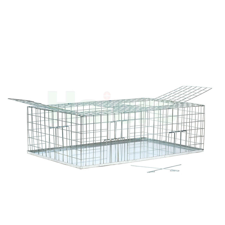 Lồng bẫy chim bồ câu gập lại bằng thép mạ kẽm Haierc HC1607