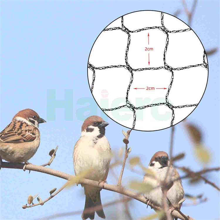 Haierc Lưới bảo vệ cây ăn quả 20x20mm chống chim