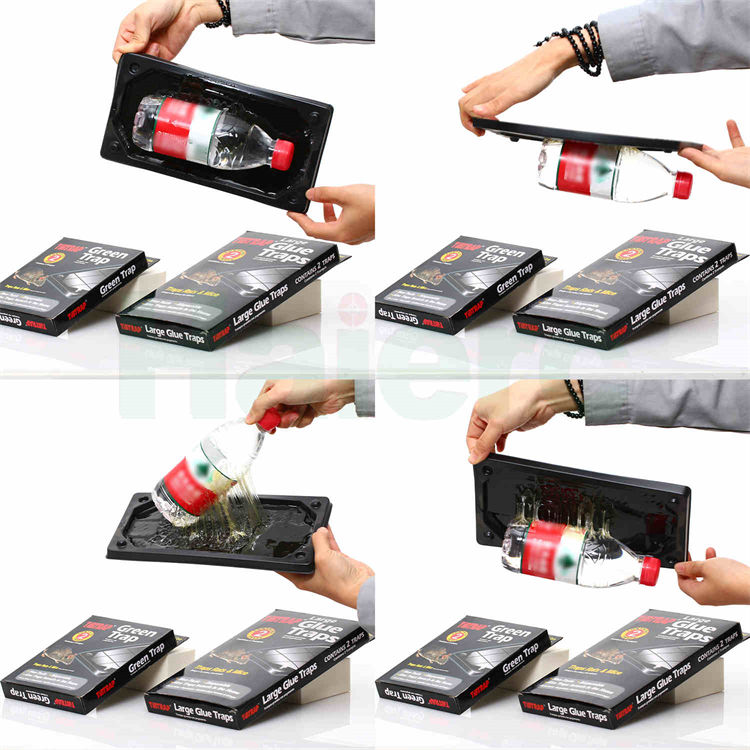 Haierc Mouse Glue Trap HC2306