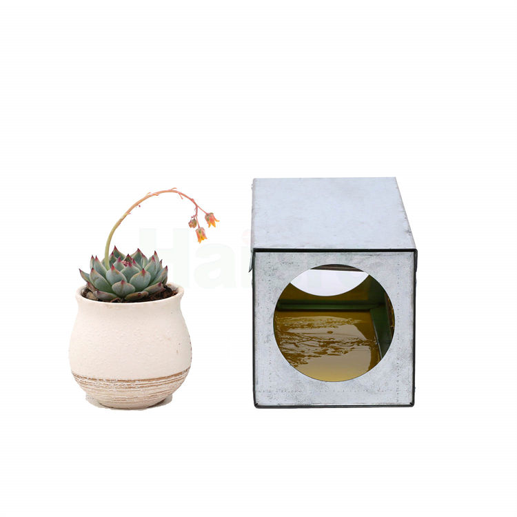 Haierc Sticky Mouse Board Protection Cover Rats Glue Dust-Proof Cover HC2108A