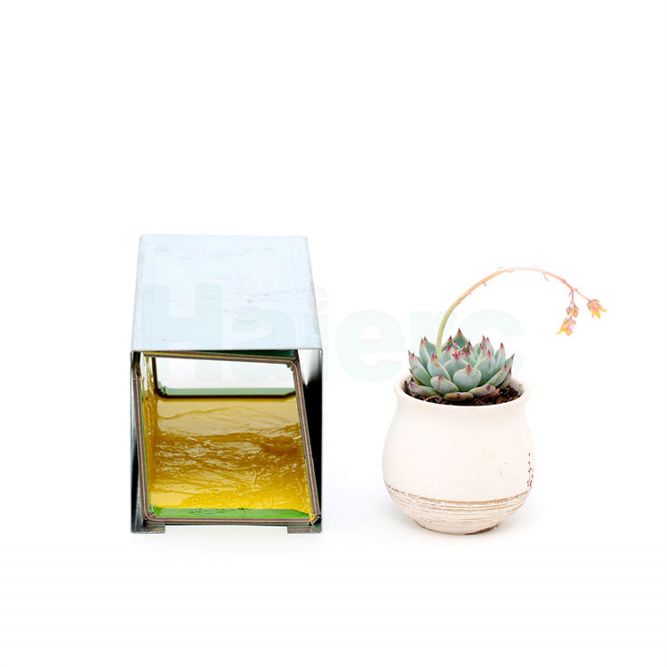 Haierc Các sản phẩm kiểm soát dịch hại bên trong keo chuột gài bẫy bảo vệ HC23001-DS