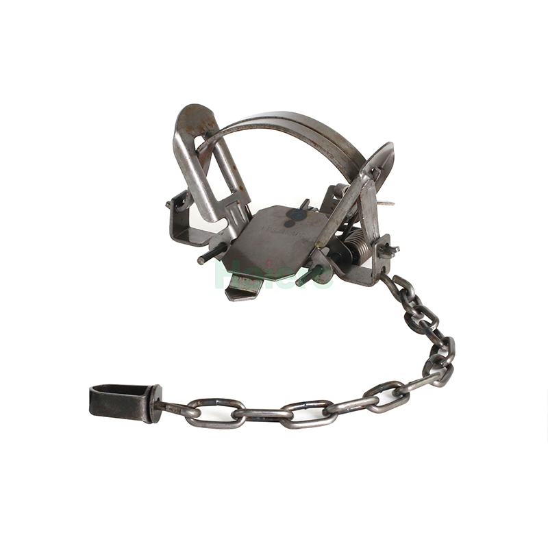 Dễ dàng bẫy chặng xuân HC2702M6