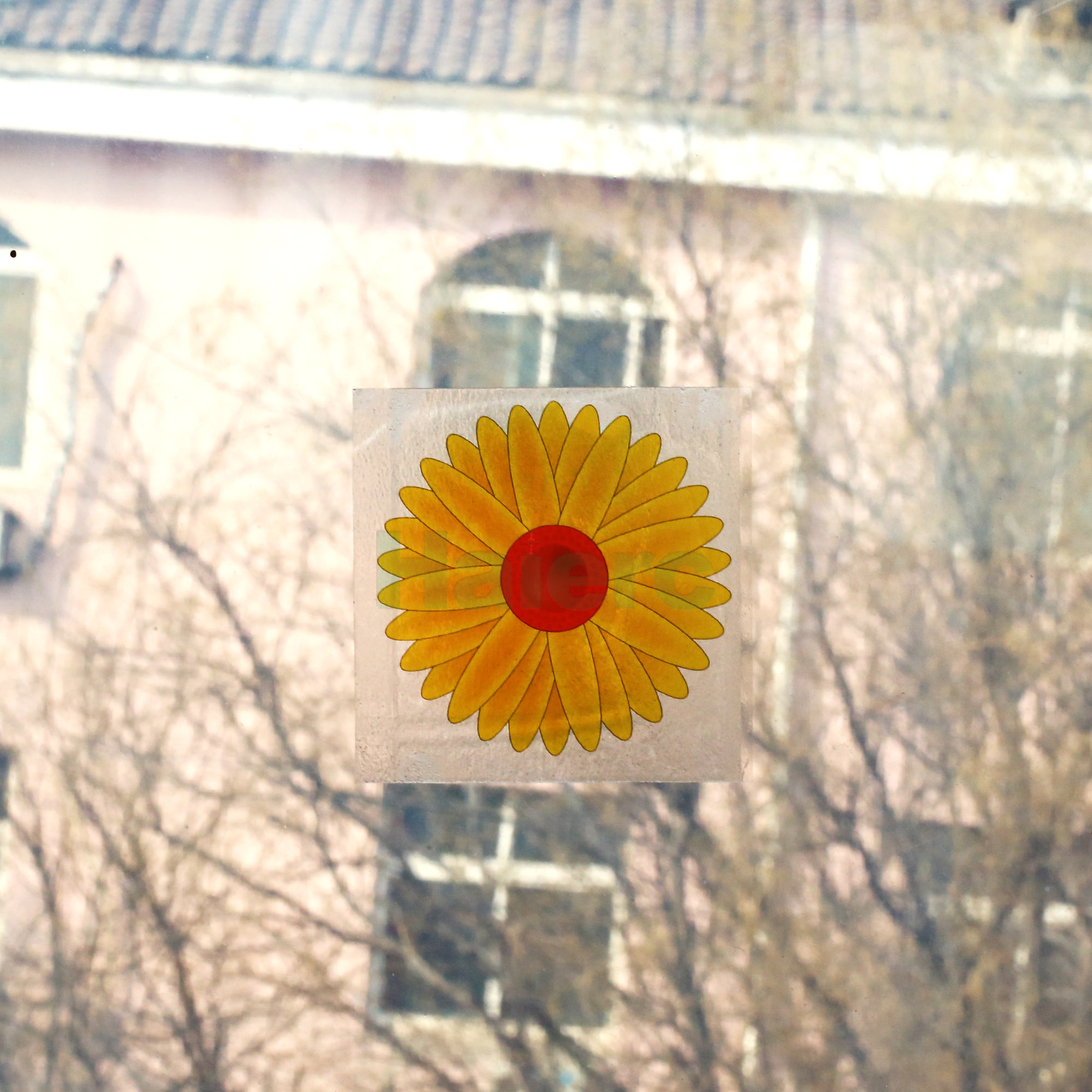 Haierc fly sticky traps fly catcher fly glue trap board HC4102