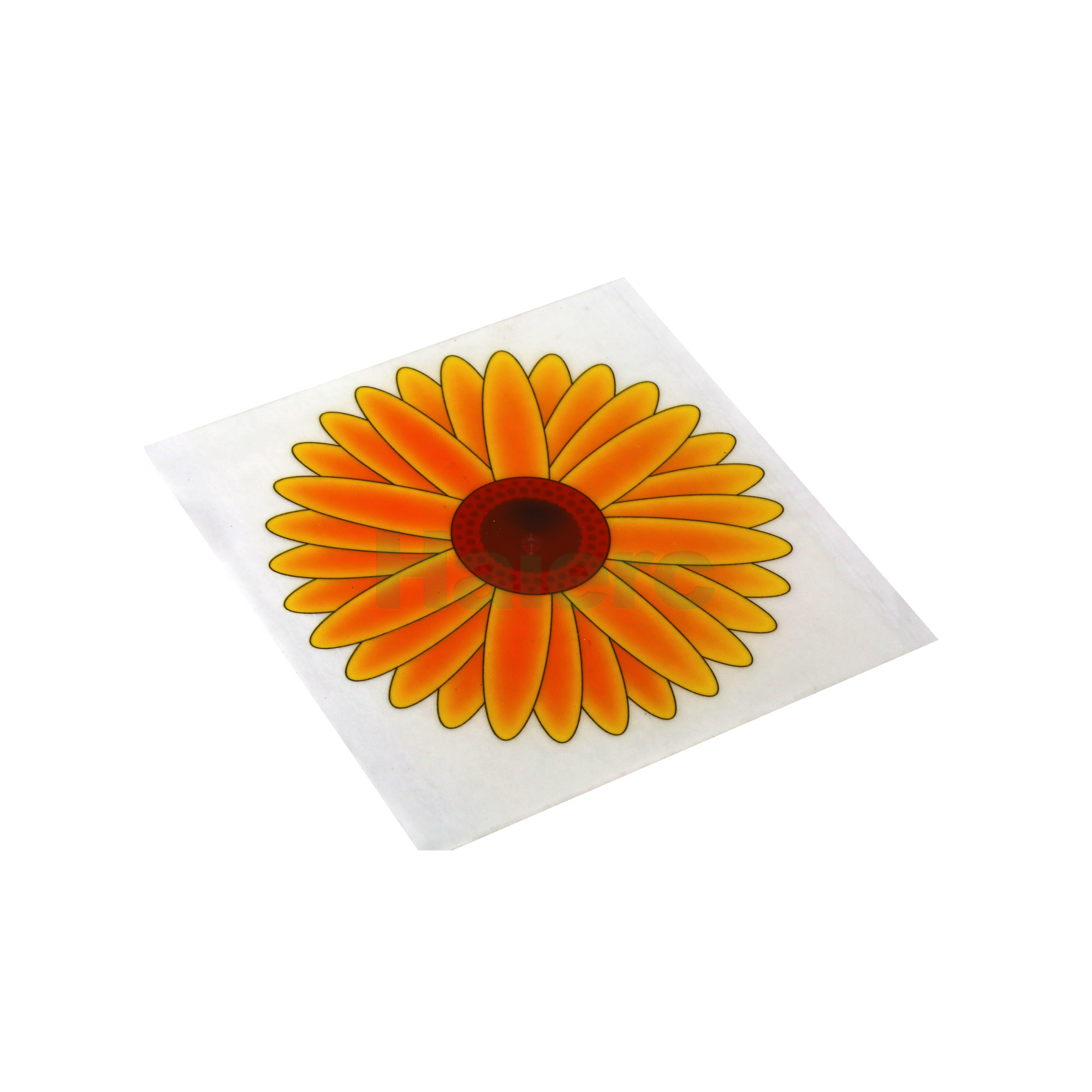 Haierc fly sticky traps fly catcher fly glue trap board HC4102