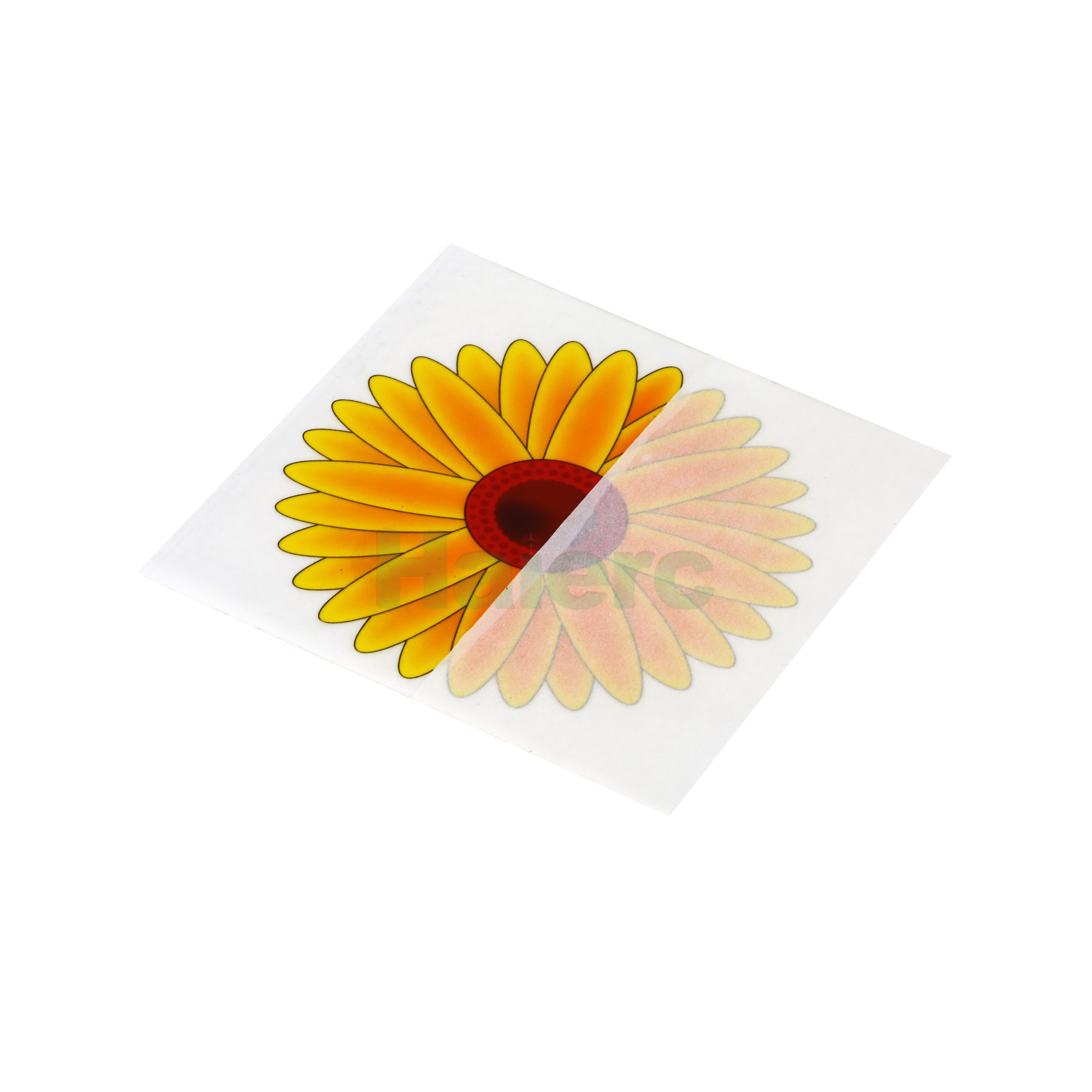 Haierc fly sticky traps fly catcher fly glue trap board HC4102